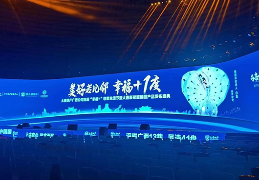 Guangxi Neighborhood Life Festival New Product Launch Conference